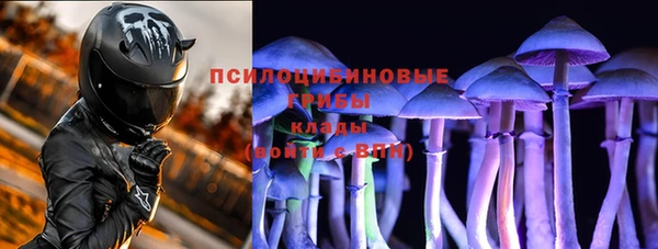 apvp Семёнов