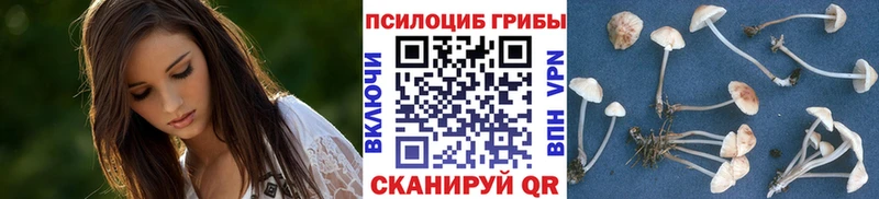 цены   Белинский  даркнет клад  Галлюциногенные грибы прущие грибы 